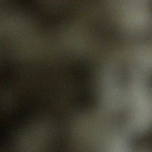 Meet your Posher, May